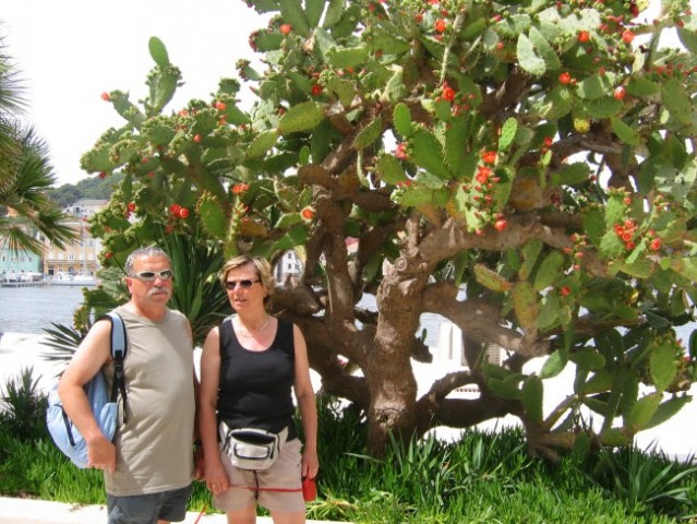 Na morju Lošinj - foto