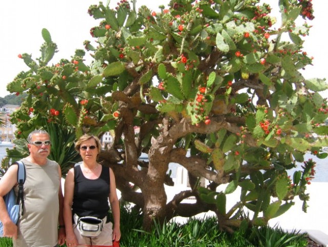 Na morju Lošinj - foto
