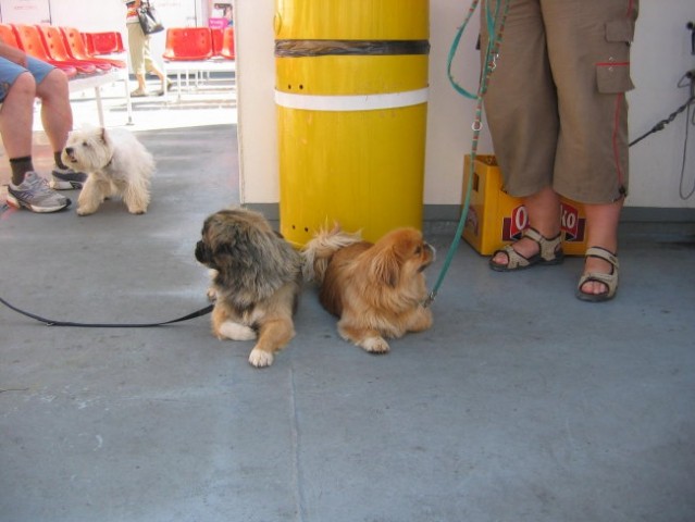 Na morju Lošinj - foto