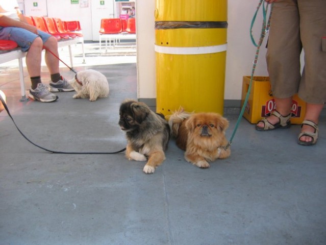 Na morju Lošinj - foto