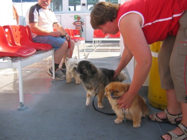Na morju Lošinj - foto