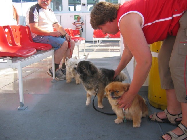 Na morju Lošinj - foto povečava