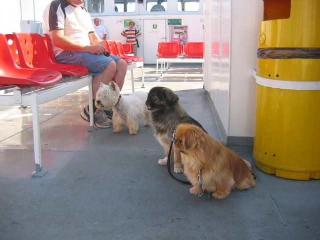 Na morju Lošinj - foto