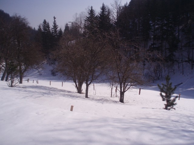 Urslja feb2009 - foto