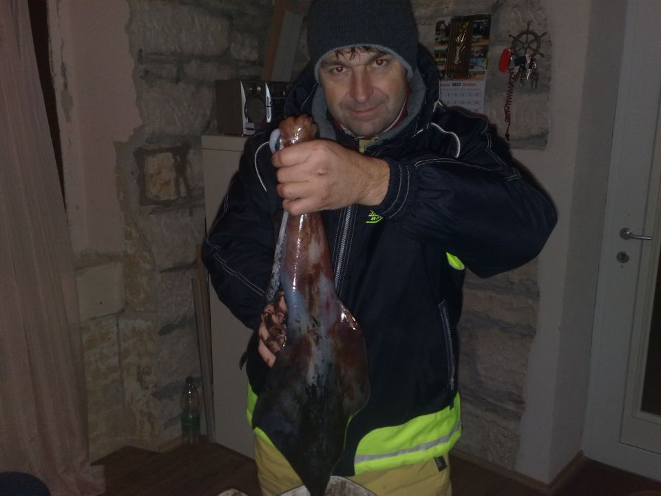 Ligenj 1.5 kg