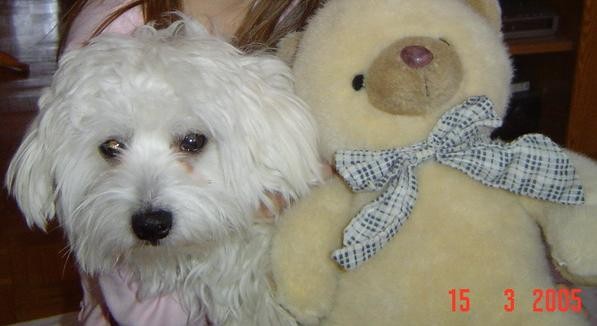 čapi z medevdkom - foto povečava