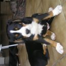 maddy