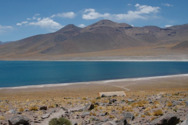 Altiplanosi - visoke planote na severu Čila - 4200 m nadmorske