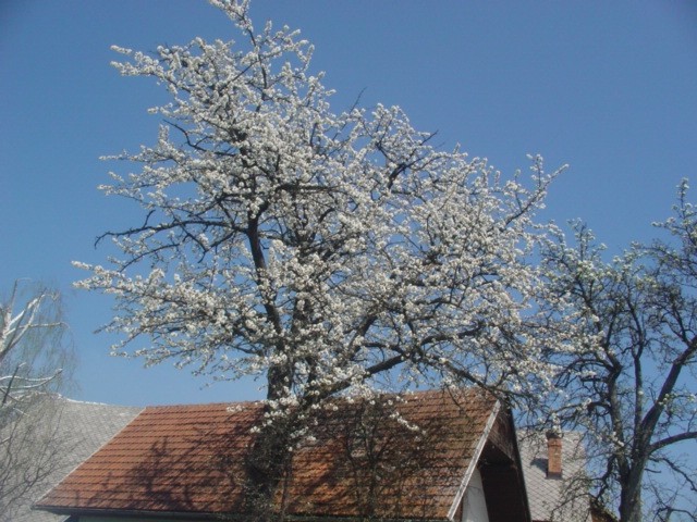 Ekskurzije, izleti - foto povečava