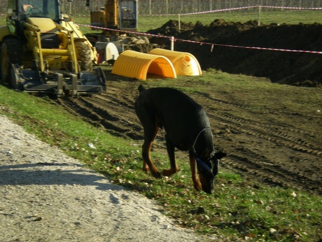 Titus 14 mesecev - foto povečava