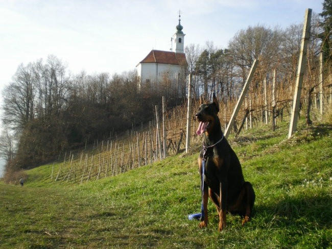 Titus 14 mesecev - foto povečava