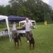 Slovenian doberman show 2008