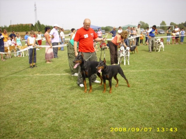 CAC GRADIŠKA 2008 - foto