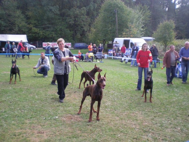 Doberman alpe adria 2007 - foto povečava