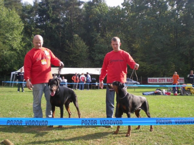 Doberman alpe adria 2007 - foto