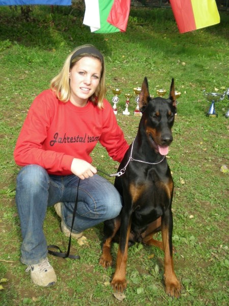 Doberman alpe adria 2007 - foto povečava