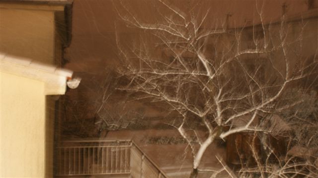 Snig u puli 19.12.2009. - foto povečava