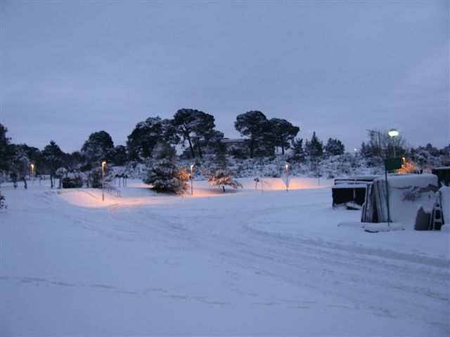 Snig u puli 19.12.2009. - foto