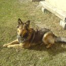 Niky