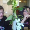 Janko & Jošt