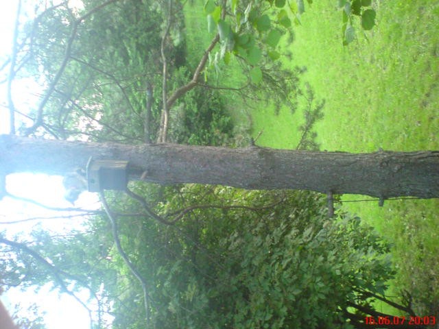 Mucki moji - foto povečava