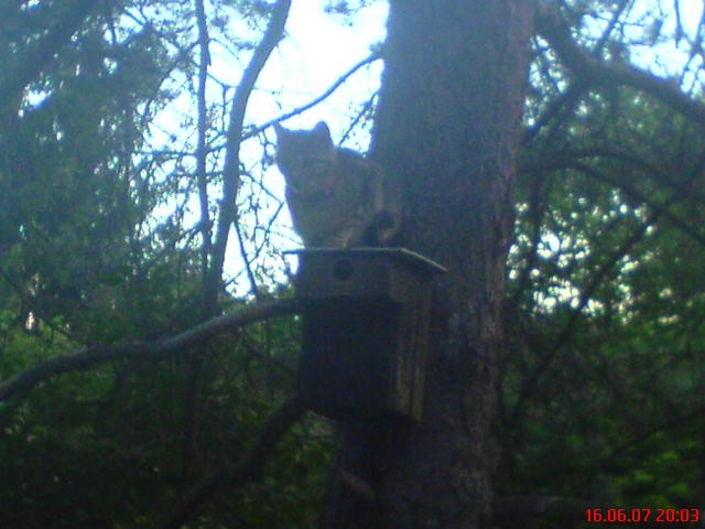 Mucki moji - foto povečava