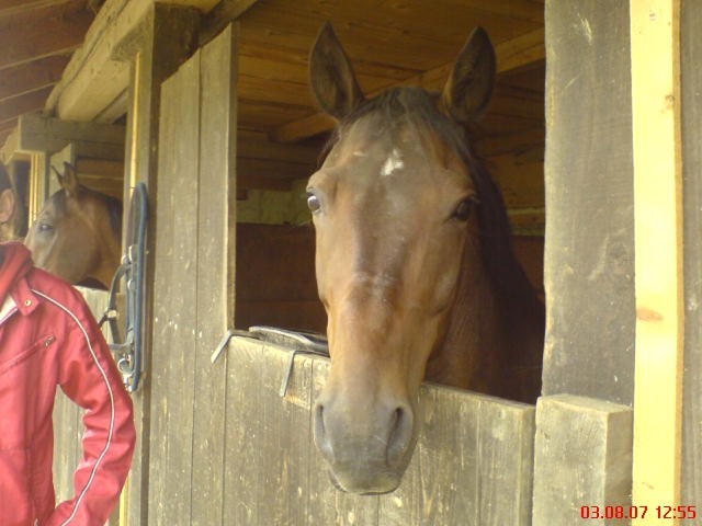 Moj končk Ule :) - foto povečava