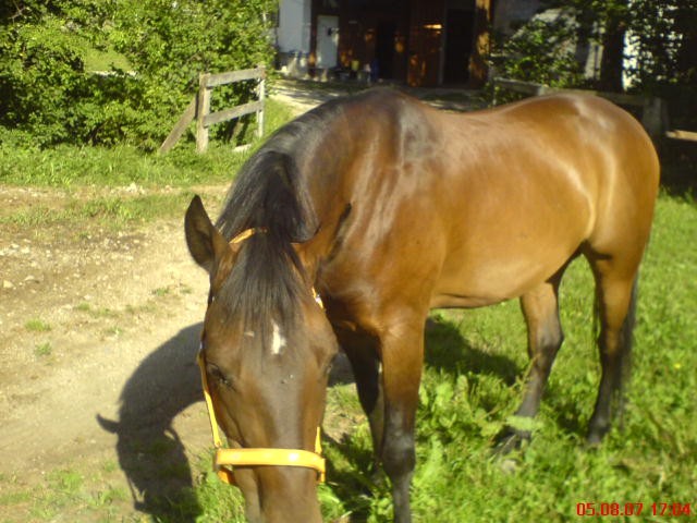 Moj končk Ule :) - foto povečava