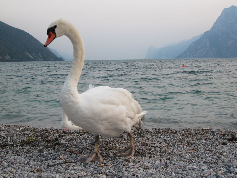 Lago di Garda - foto povečava