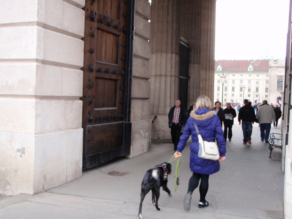 Dunaj, marec 2011, 2. del - foto povečava