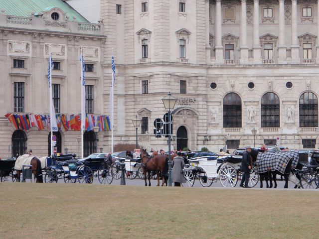 Dunaj, marec 2011, 2. del - foto