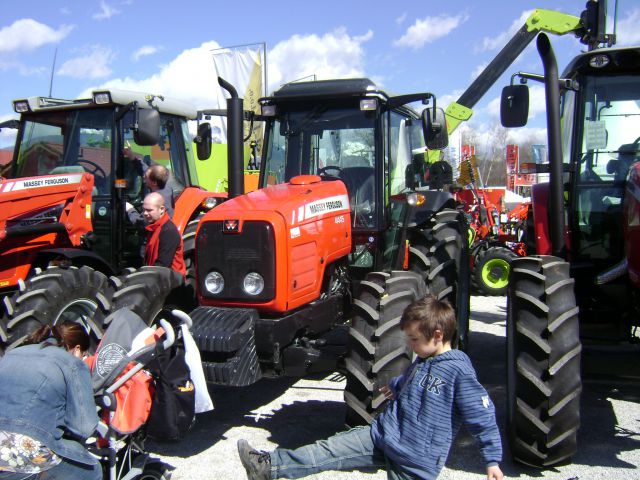 Sejem Komenda, pomlad 2010 - foto