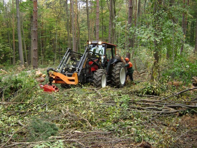 Austrofoma 2007,Hailegenkreutz bei Baden,9.10 - foto povečava