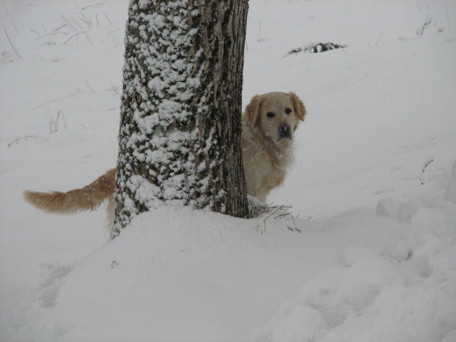 Alayka&sneg - foto povečava