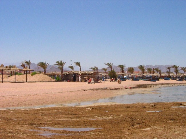 Egipt - Sharm el sheik - foto povečava