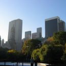 NYC - CENTRAL PARK