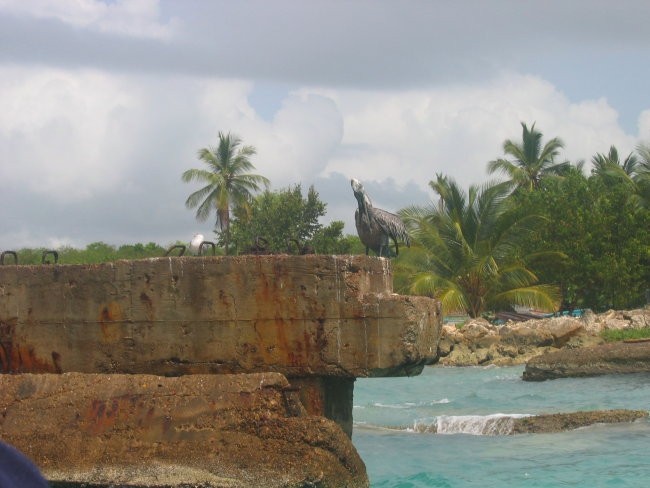 Otok Saona - južno Karibsko morje - foto povečava