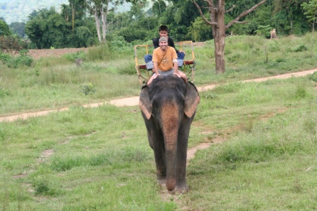 Treking s sloni
