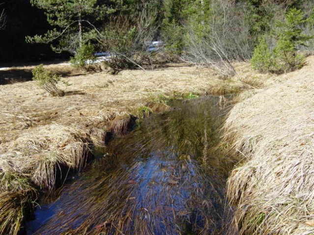 GODOVIČ-UTRINKI 04.04.2006 - foto