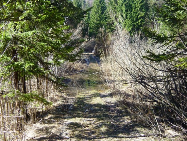 GODOVIČ-UTRINKI 04.04.2006 - foto