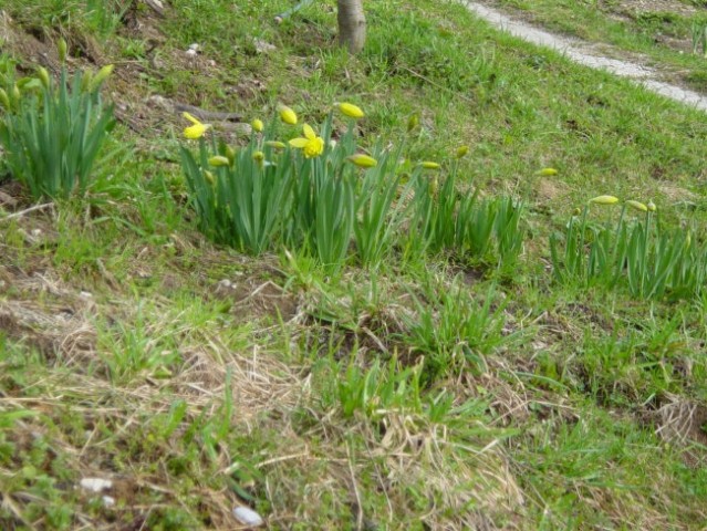 GODOVČ-4-05.04.2006