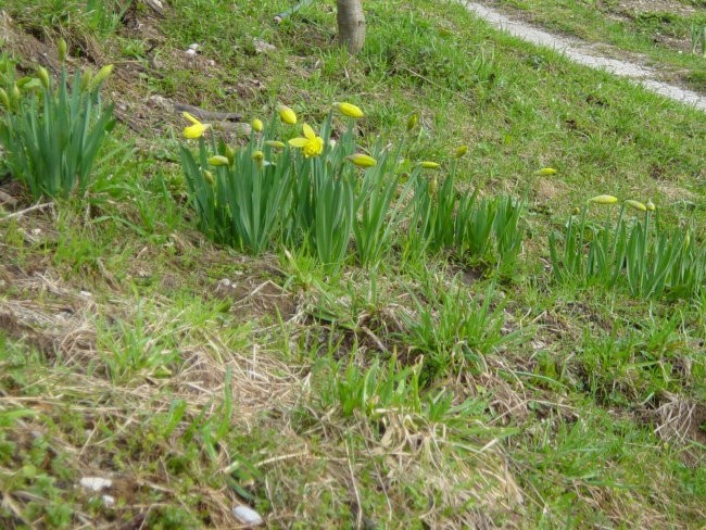 GODOVČ-4-05.04.2006