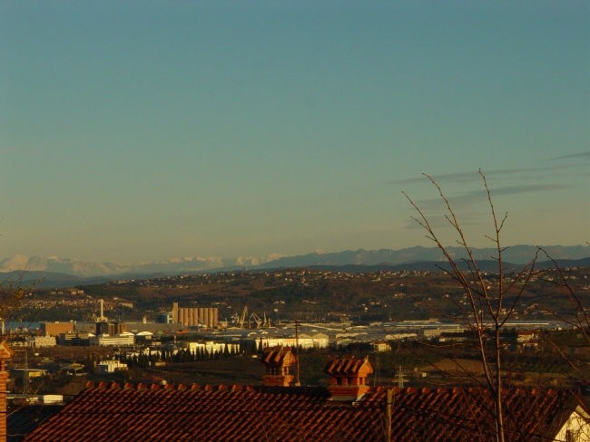 Bošamarin - pogled - foto povečava