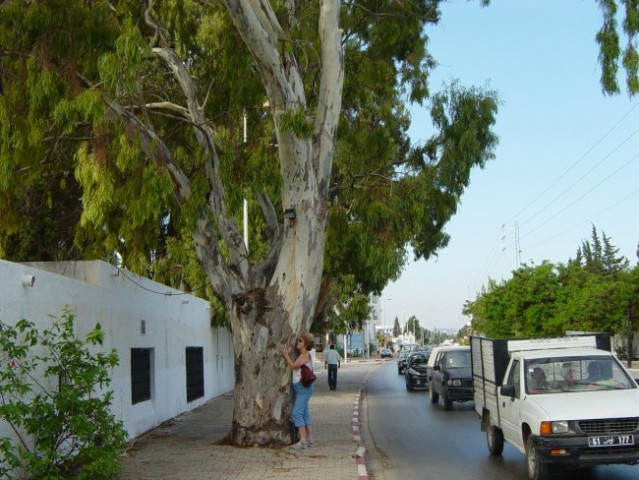 Tunizija Oktober 2007 - foto