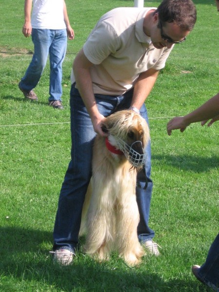 Aspara prvič na coursingu (Slivnica pri Mariboru, sept  06)