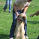 Aspara prvič na coursingu (Slivnica pri Mariboru, sept  06)