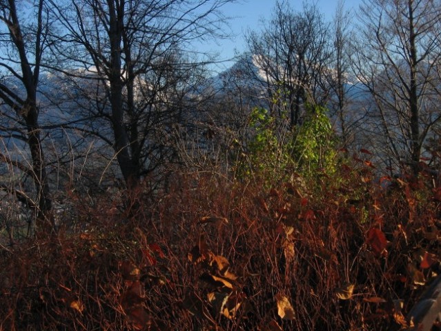 Šmarjetna gora - foto