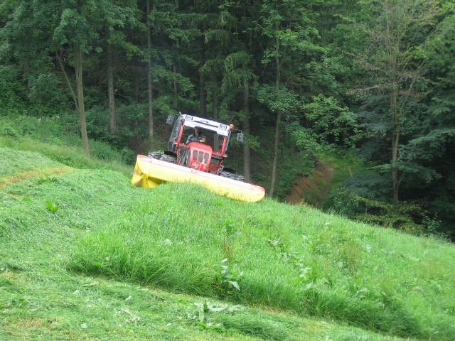 Predstavitev reform - foto povečava