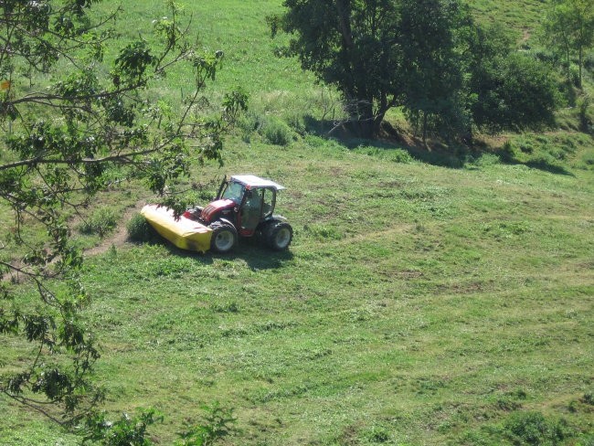 Marko - foto povečava