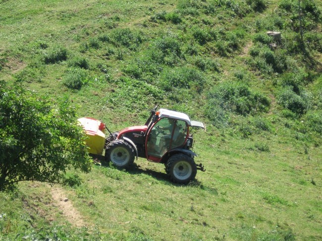 Marko - foto povečava